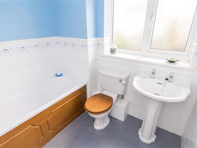 Picture 29